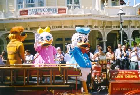 The Duck family