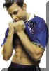 Lee Muscles